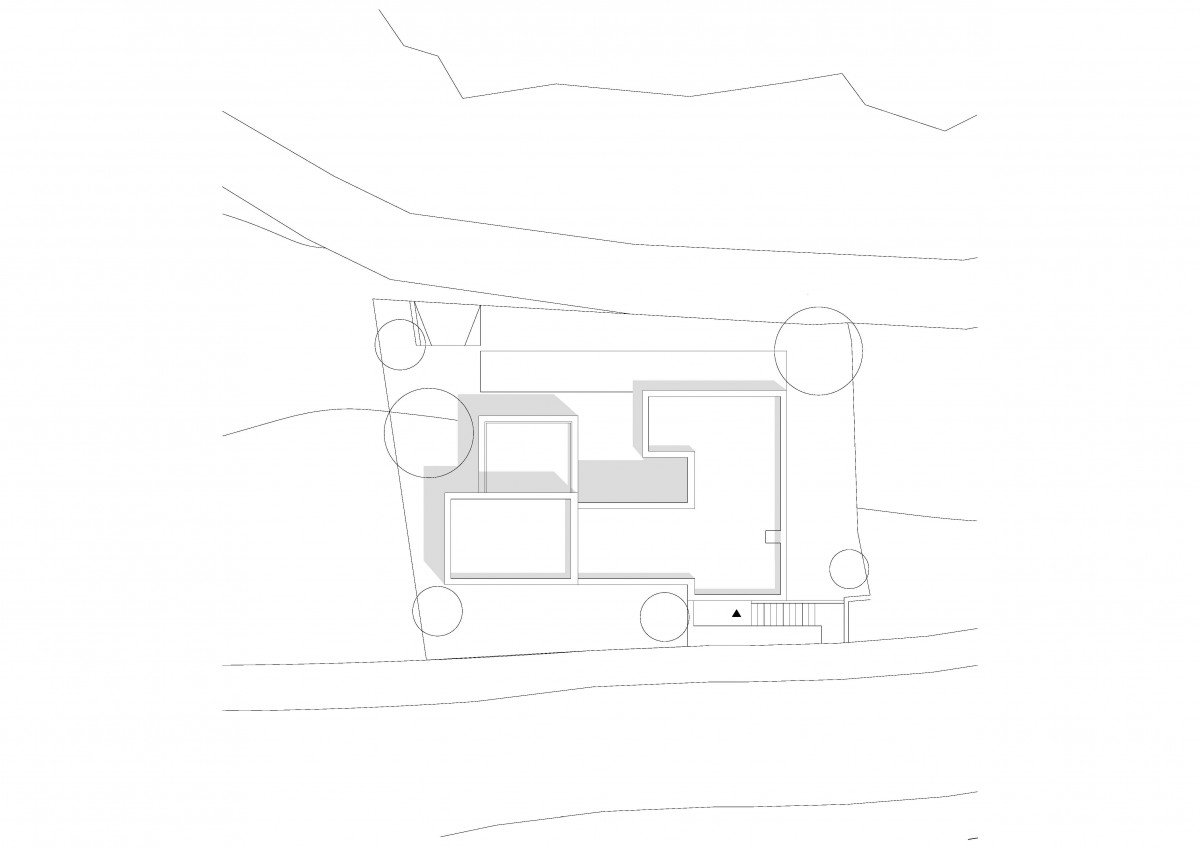 PGenerale_grafika